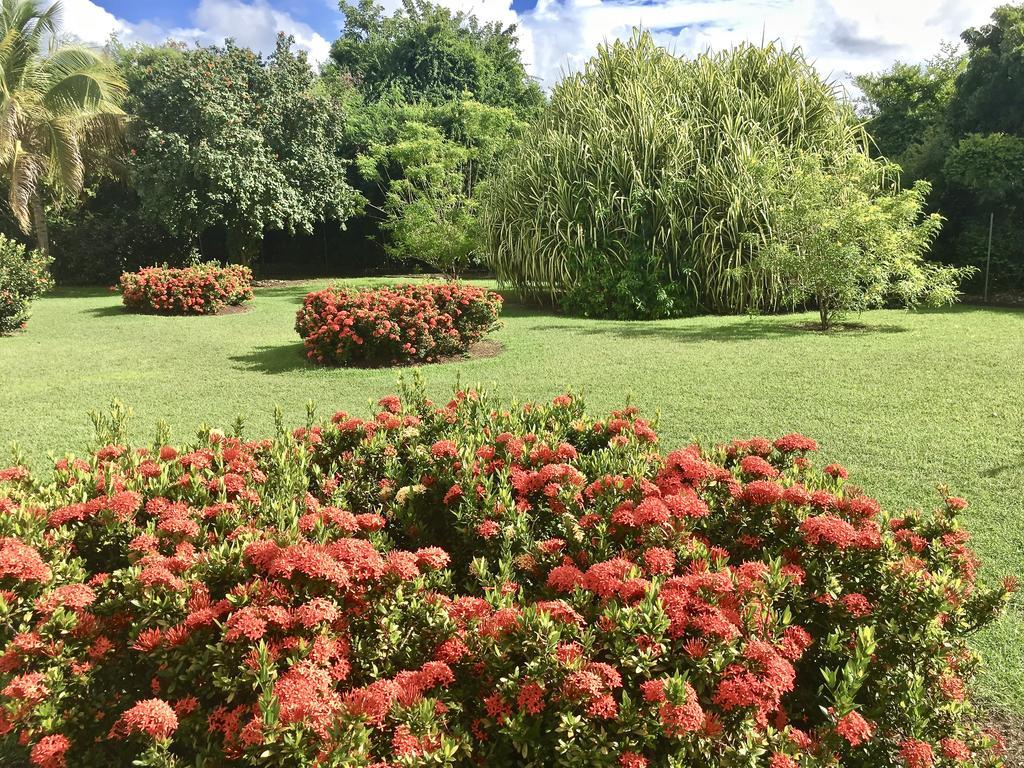 Residence Le Vallon Guadeloupe Parc Piscine Appartements & Studios & Services Hoteliers A La Carte سانت فرانسوا المظهر الخارجي الصورة